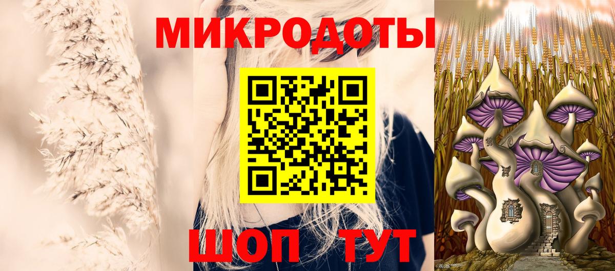 что такое наркотик  Вход с VPN  Псилоцибиновые грибы прущие грибы  Магадан  Галлюциногенные грибы ЛСД 