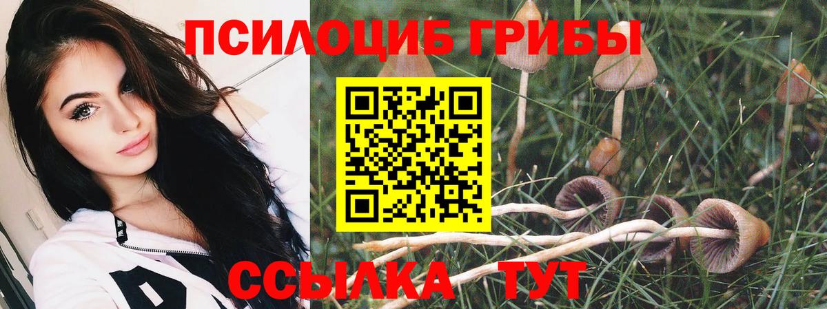 Галлюциногенные грибы ЛСД Магадан